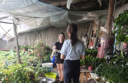 圖片1