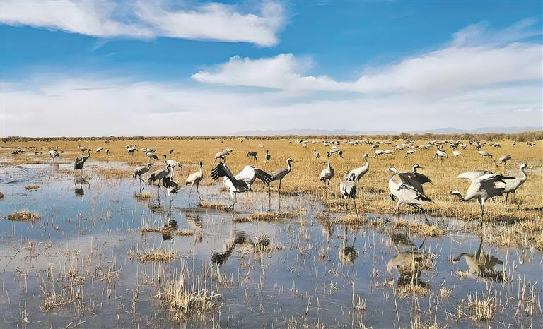 ����Դ���^���������o(h��)��׌һ����ˮ��|��