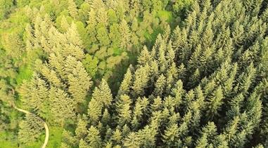 �ຣ�����l(xi��ng)Ȥ��ꖣ����B(t��i)���o(h��)�c�l(xi��ng)�����d�ľGɫ����