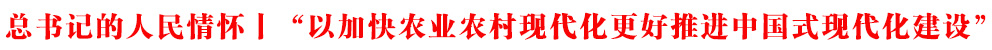 ӛحԼӿr(nng)I(y)r(nng)F(xin)MЇʽF(xin)O