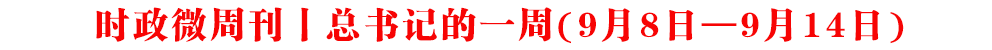 r΢ܿحӛһ(98ա914)