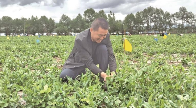 ΢Ž؈D_20251009070946