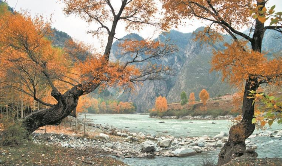 【生態(tài)深一度】漫山林海攜綠來(lái)——互助北山林場(chǎng)生態(tài)觀察