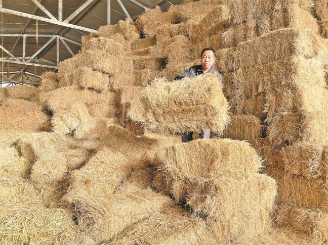 (jin) (sh)ɠ(zhng)ȡ^áʮ塱չّ(zhn)ຣɎhţԽo(h)