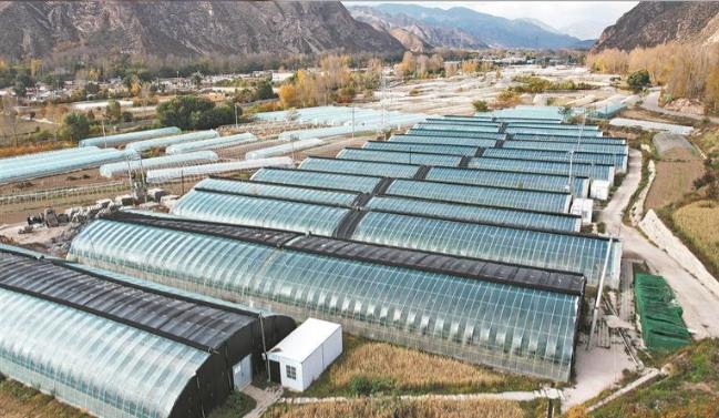 l(xing)dຣl(xing)dġҸƴD