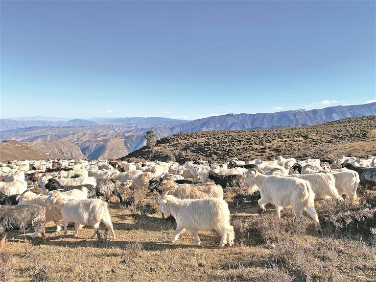 (jin) (sh)ɠȡԭr(nng)I(y)D(zhun)齛(jng)(j)L(sh)2025ຣȽ(jng)(j)^֮