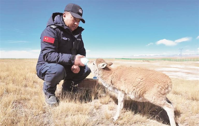 ΢ňDƬ_20251110062720_233_174