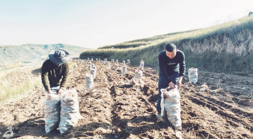  Qh͡Ѕ^(q)Ӝl(xing)pa(chn)I(y)Sٝ