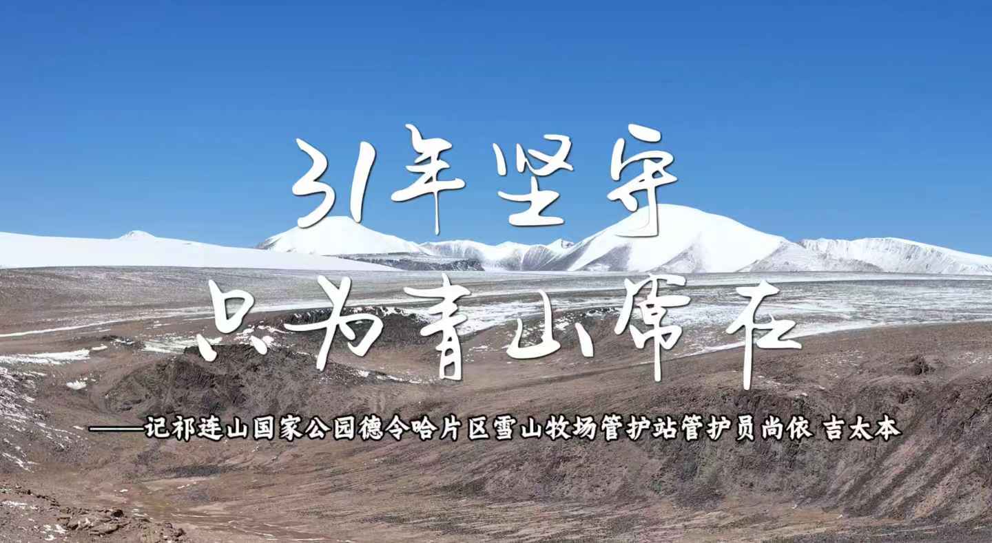 31��Ĉ���ֻ����ɽ����