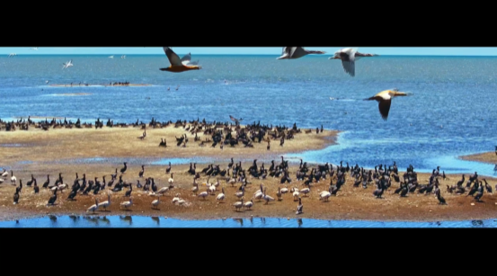 һ���f�� �f�ﹲ��