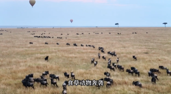 ����Դ��Ұ��˲�g