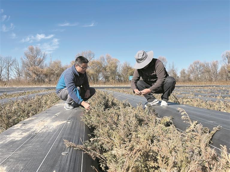 r  I(y)|(zh)l(f)չ{(dio)Сơຣߺɳ^(q)ɳǻۡຣȫM̹ԑ(zhn)ϵЈ֮