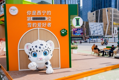 @@IP x ϵЈ֮һ