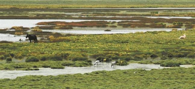 P(gun)עl(f)]f(xi) Աo(h)ʡf(xi)@ȫӏ(qing)Աo(h)M(jn)F(xin)B(ti)󻯡f(xi)h