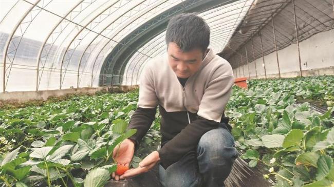 ȫڻӡļݮ㡱l(xing)d