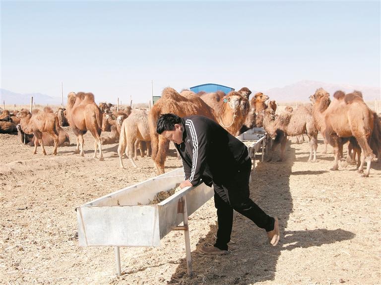 x͡ʮ塱 ĸVƪʯѡøo ·ߵøh(yun)