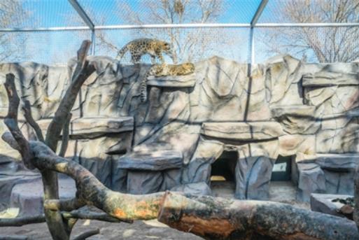 ѩҰ҈@ Ұ(dng)@±^ʽ