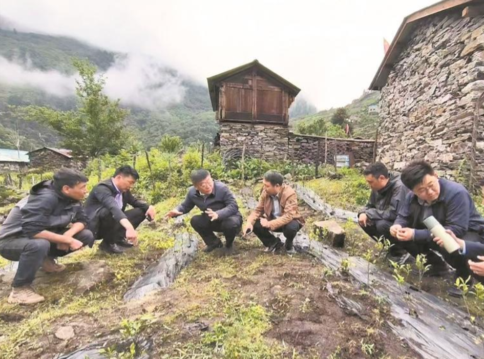 ScreenShot_2025-12-08_060016_720