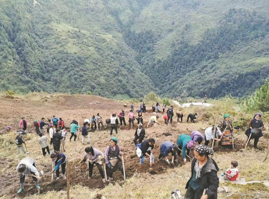 ScreenShot_2025-12-08_060033_884