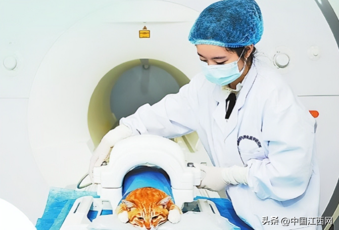 ScreenShot_2025-12-14_100005_087