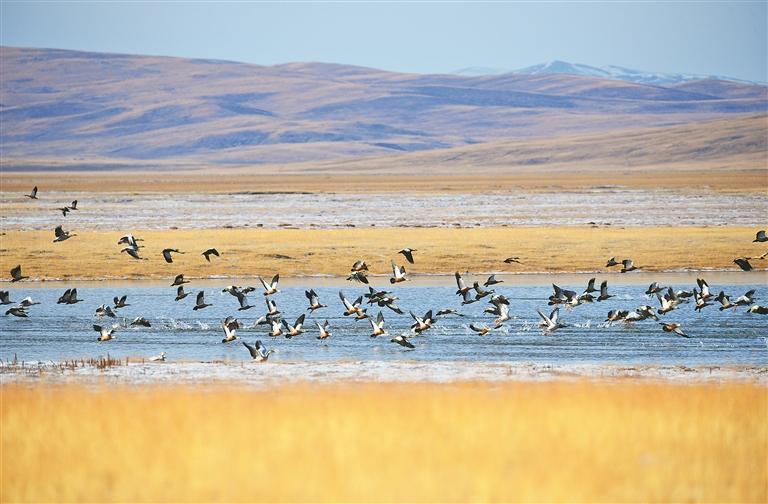 ���r�� ������ ���I(y��)�����|���l(f��)չ�{(di��o)���С���Դ�^���o���c���Gɫ׃�F(xi��n)���Ľ�푡�������h��(j��ng)���l(f��)չ�^�졤����ƪ