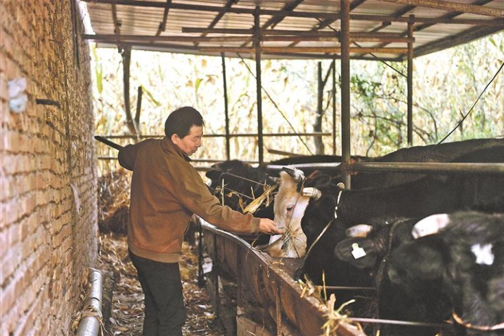 ����ס�S��Դ���S��߅����ʰ��(w��n)��(w��n)���Ҹ�