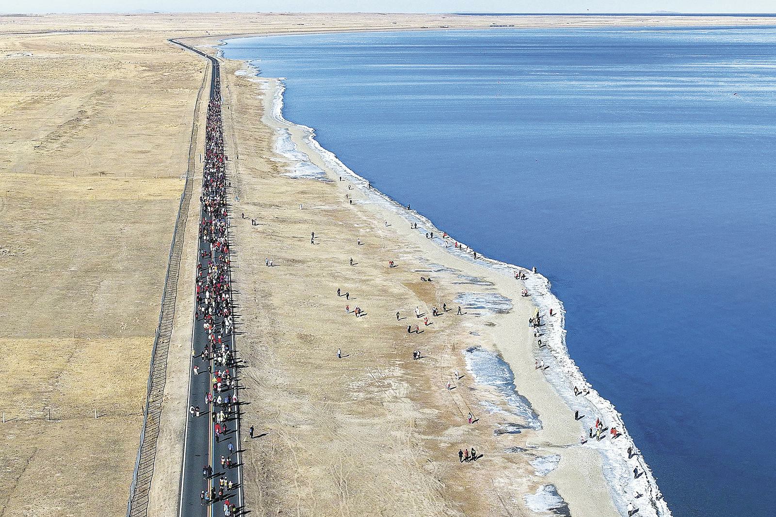 ͽ��ӭ�������f�h(hu��n)����ۡ���2026���ຣ��ӭ�������B(t��i)�h(hu��n)��ͽ�����Ҋ