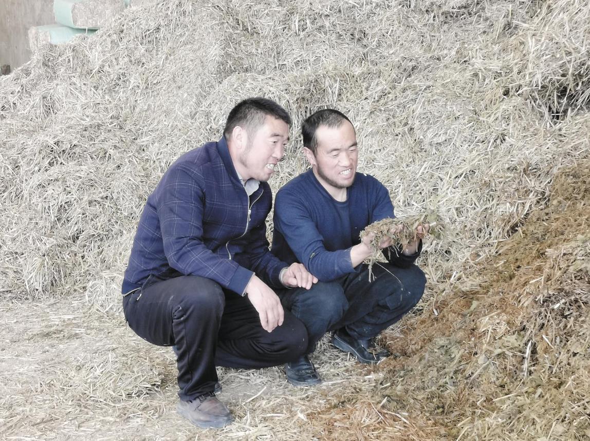 ��ԭ��ţ˾���15�d�����S�w