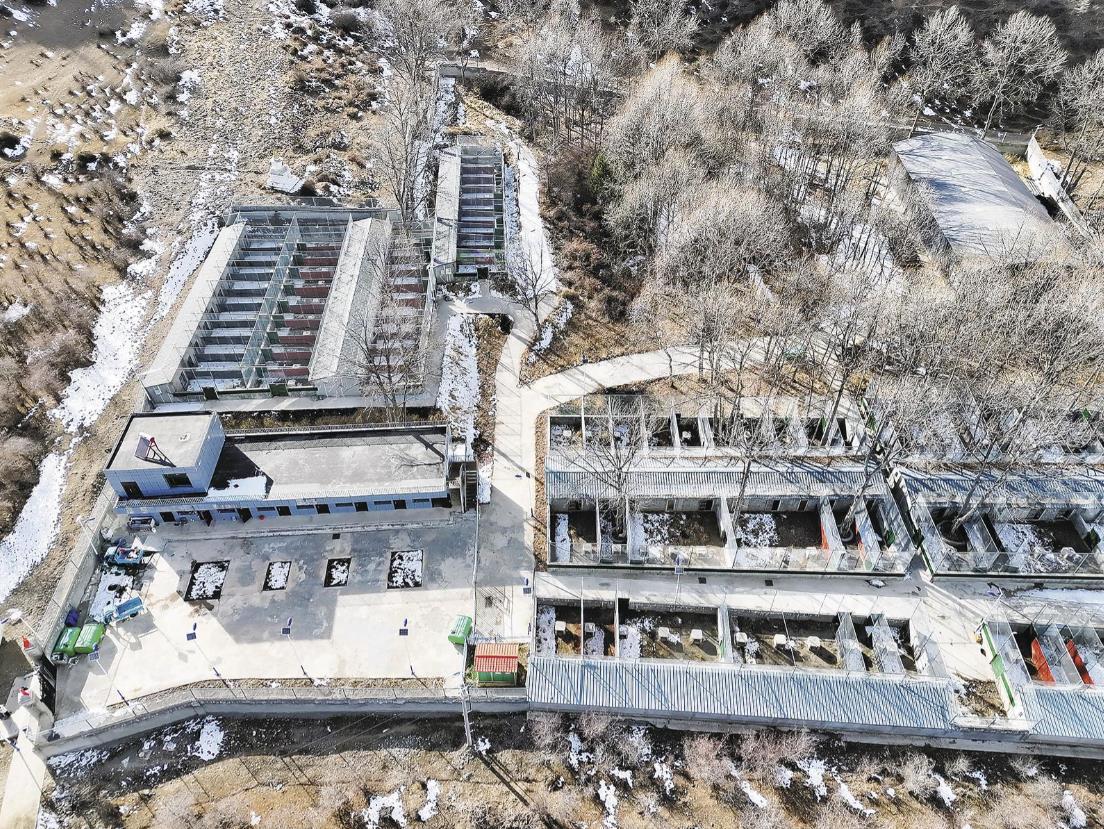 ����Դ���^����ԭС��ġ���������Ӱ