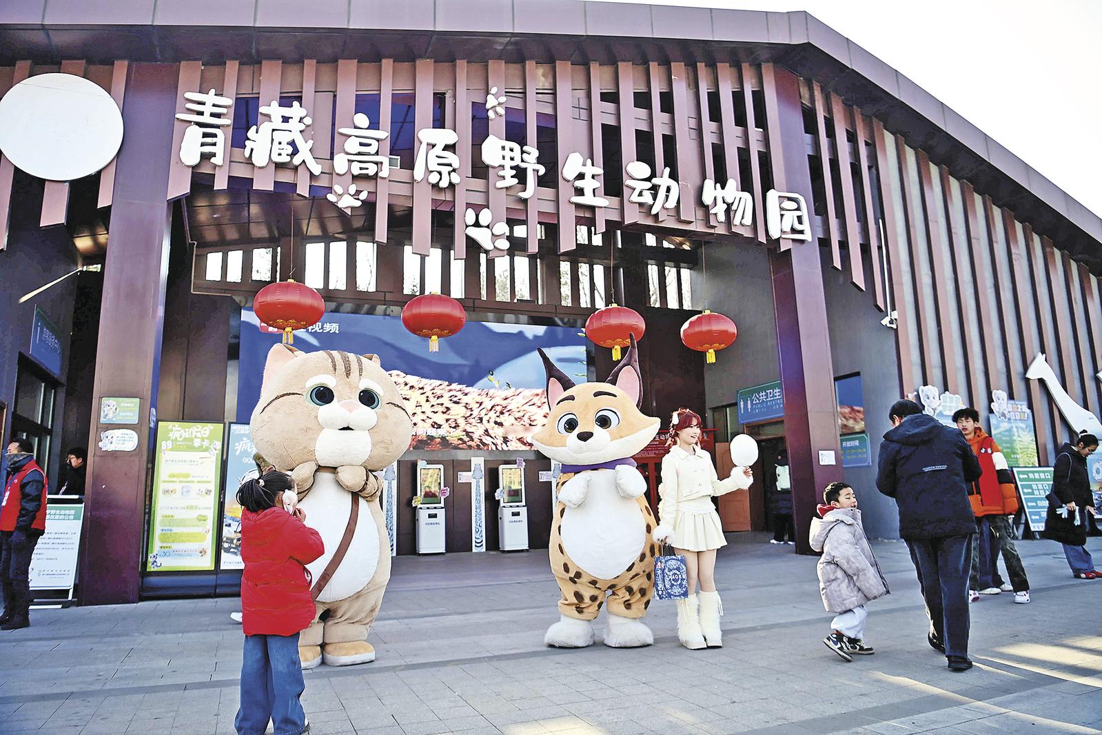 �վ����f�˴δ���ظ�ԭҰ����(d��ng)��@