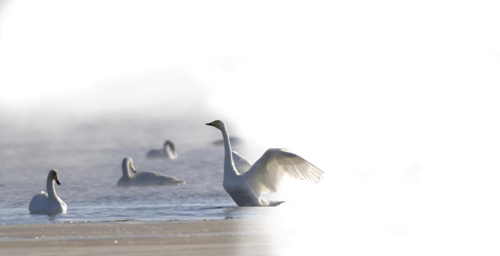 �p�����ؾ� �f�BҒۙ�� 2026���ຣʡԽ��ˮ�B�O(ji��n)�y��ӛ��