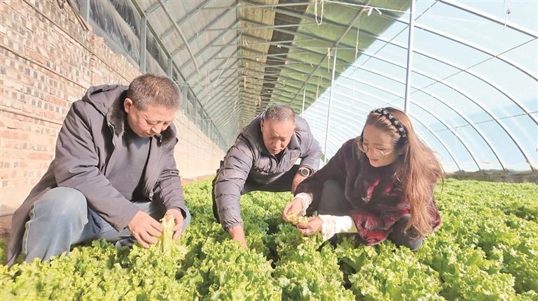 �����｛�������p�A �ຣ���У��䌍���˻@�ӡ� �����X���ӡ�