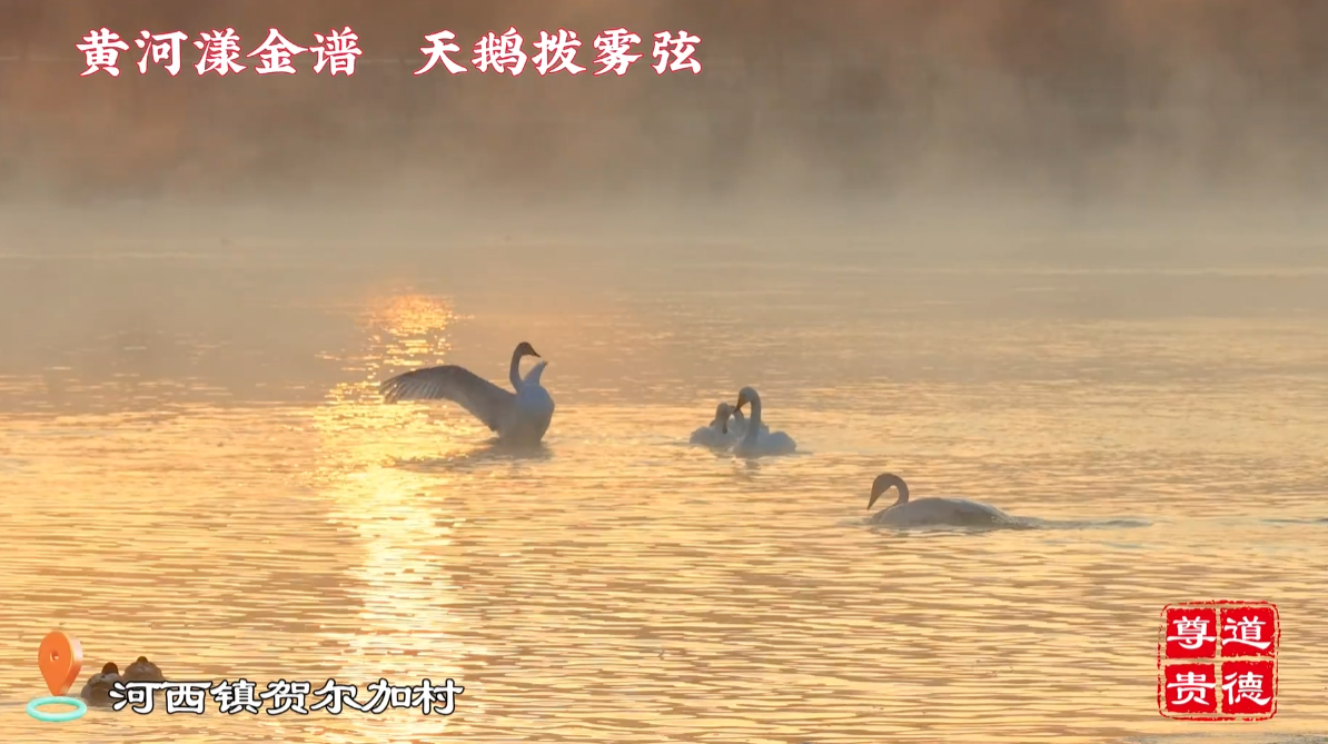 �ຣ�F�£��S�������V ���Z���F��