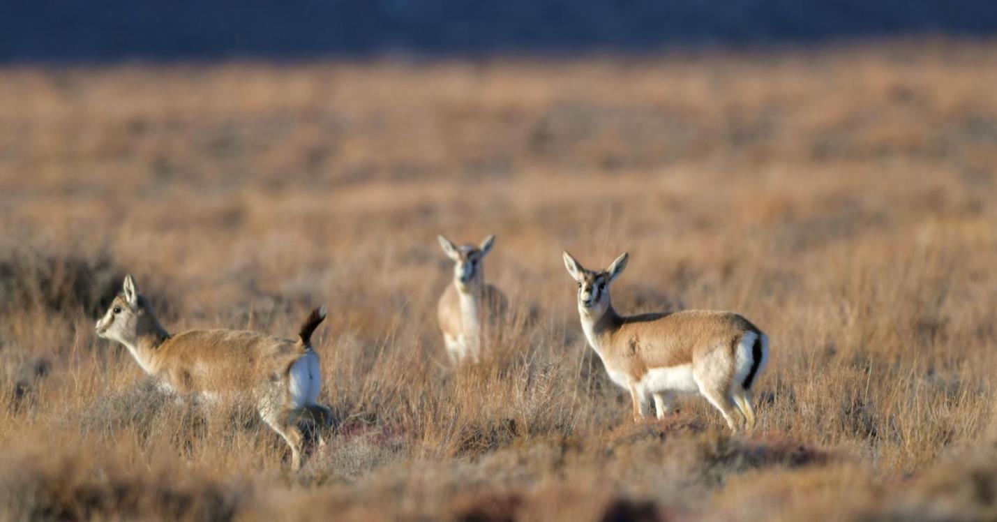 ���m���������Z����