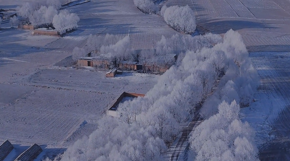 �����������䭂֦ӳ����