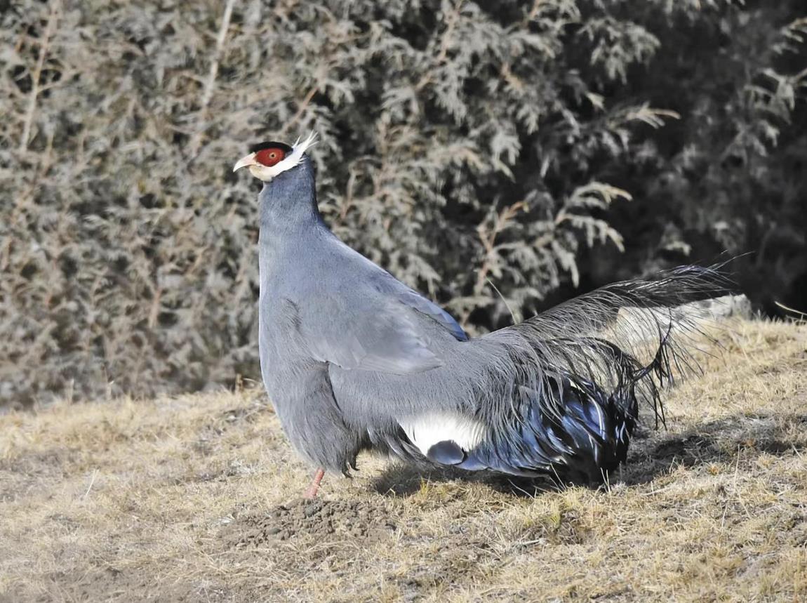 �ຣ�S���ݣ���ϡ�BȺ�l�F(xi��n)����