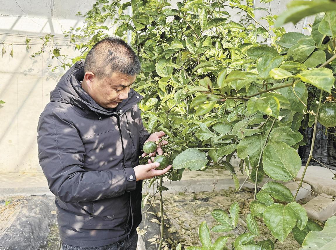 �����Ǳ��^(q��)�ɹ�ԇ�N�����