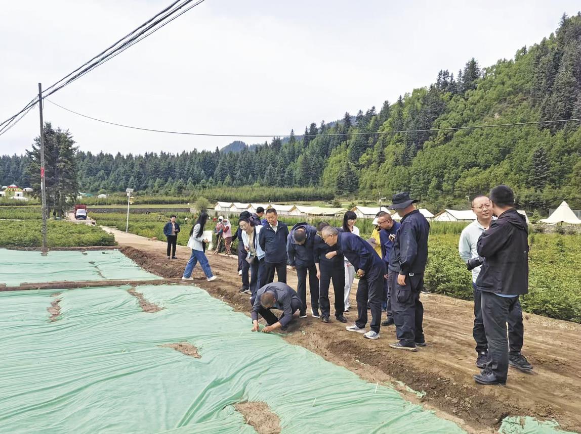 ���P(gu��n)ע�����Ξ�V���L����G�����ຣʡ��ȫ�����M(j��n)�����A���񹲺͇�ɭ�ַ�����(sh��)ʩ�������B(t��i)��ȫ���ϾC��