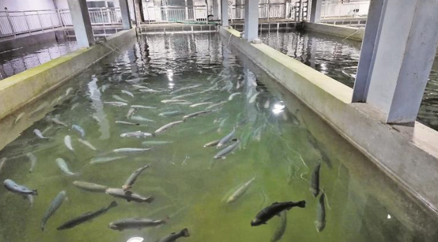 �ຣ�����У���ͨ�q�V�~�γ��¸�·