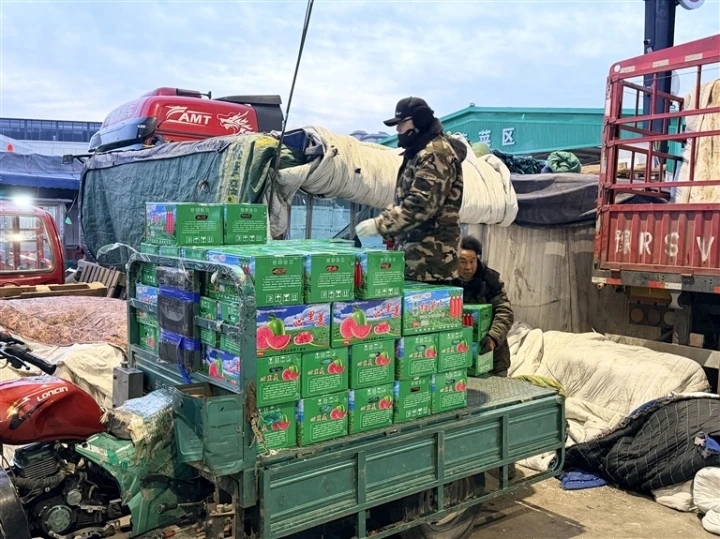 �վ��M��1446������ԭ���˻@�ӡ�؛�S�r��(w��n)