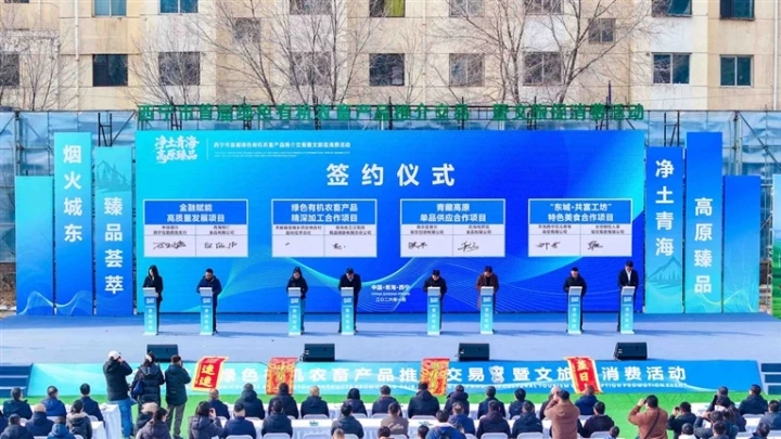 ΢�ňDƬ_2026-02-01_061000_339