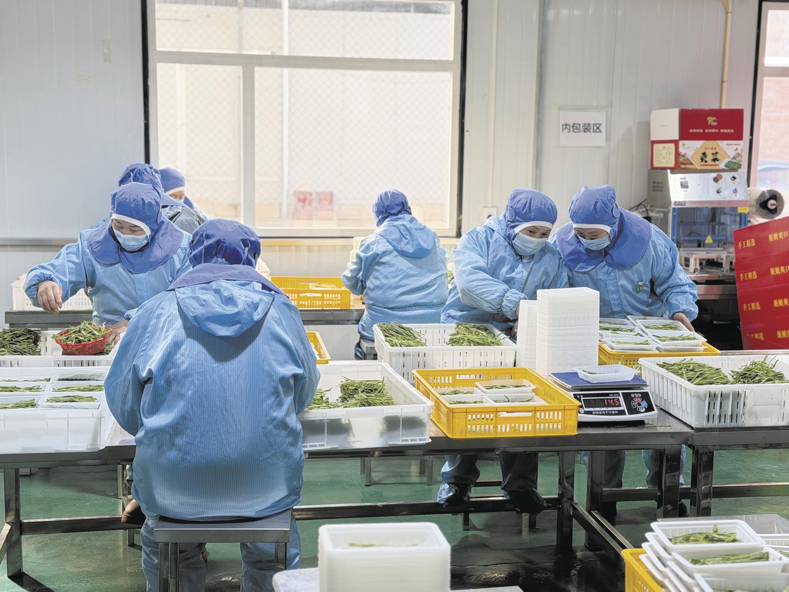 ���l(xi��ng)�����d���ຣ���S�Ӱ�߅���B(y��ng)���ġ������