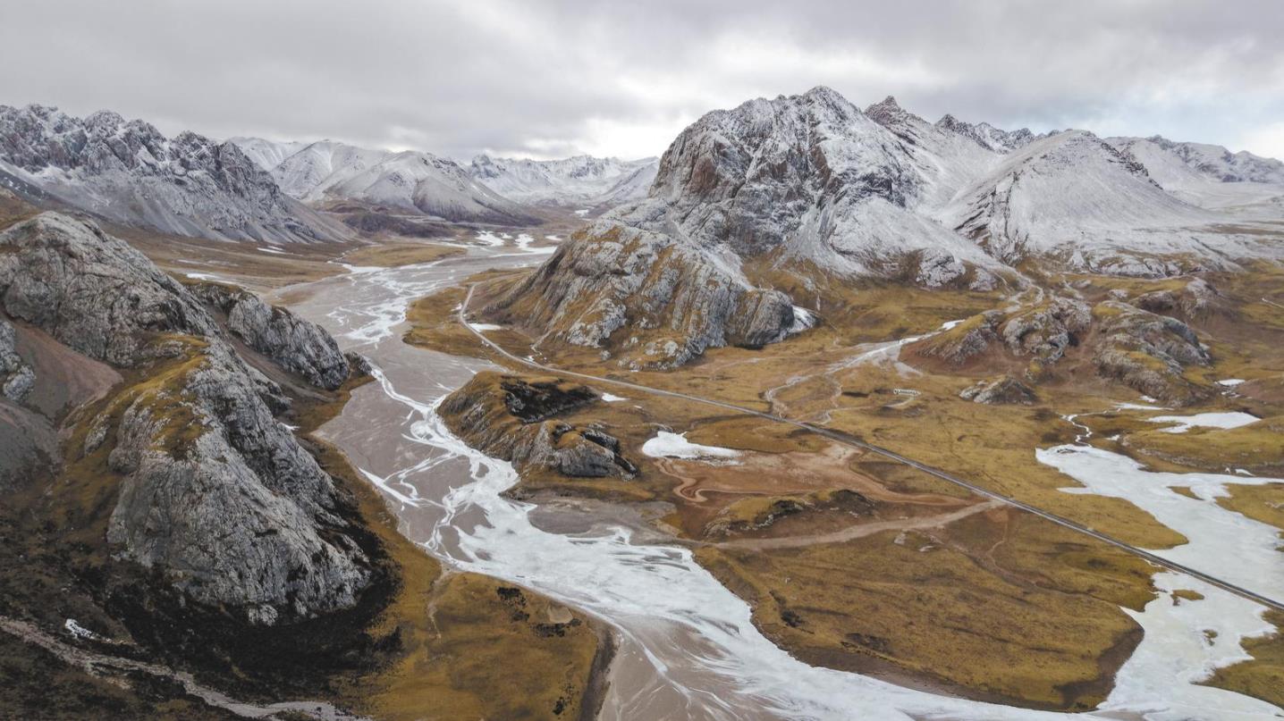 �����������