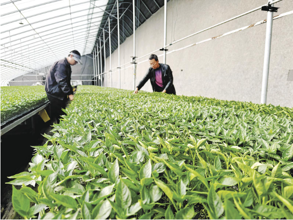 ���´��߻��ӡ�����ʮ���� �o(h��)��ӭ����