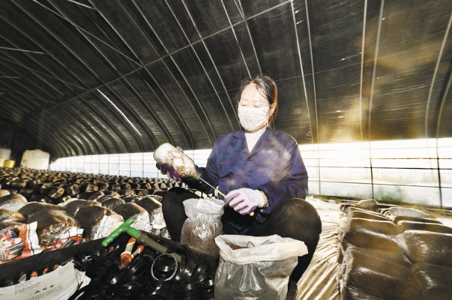 ScreenShot_2026-03-08_070022_097