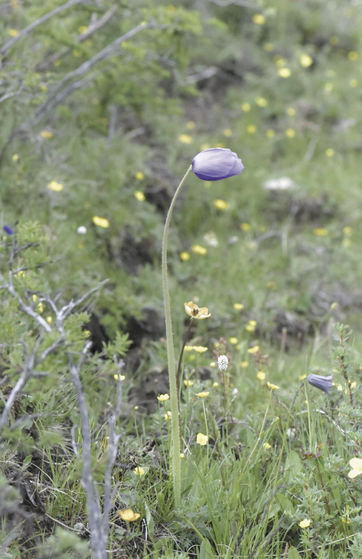 ScreenShot_2026-03-09_043610_238