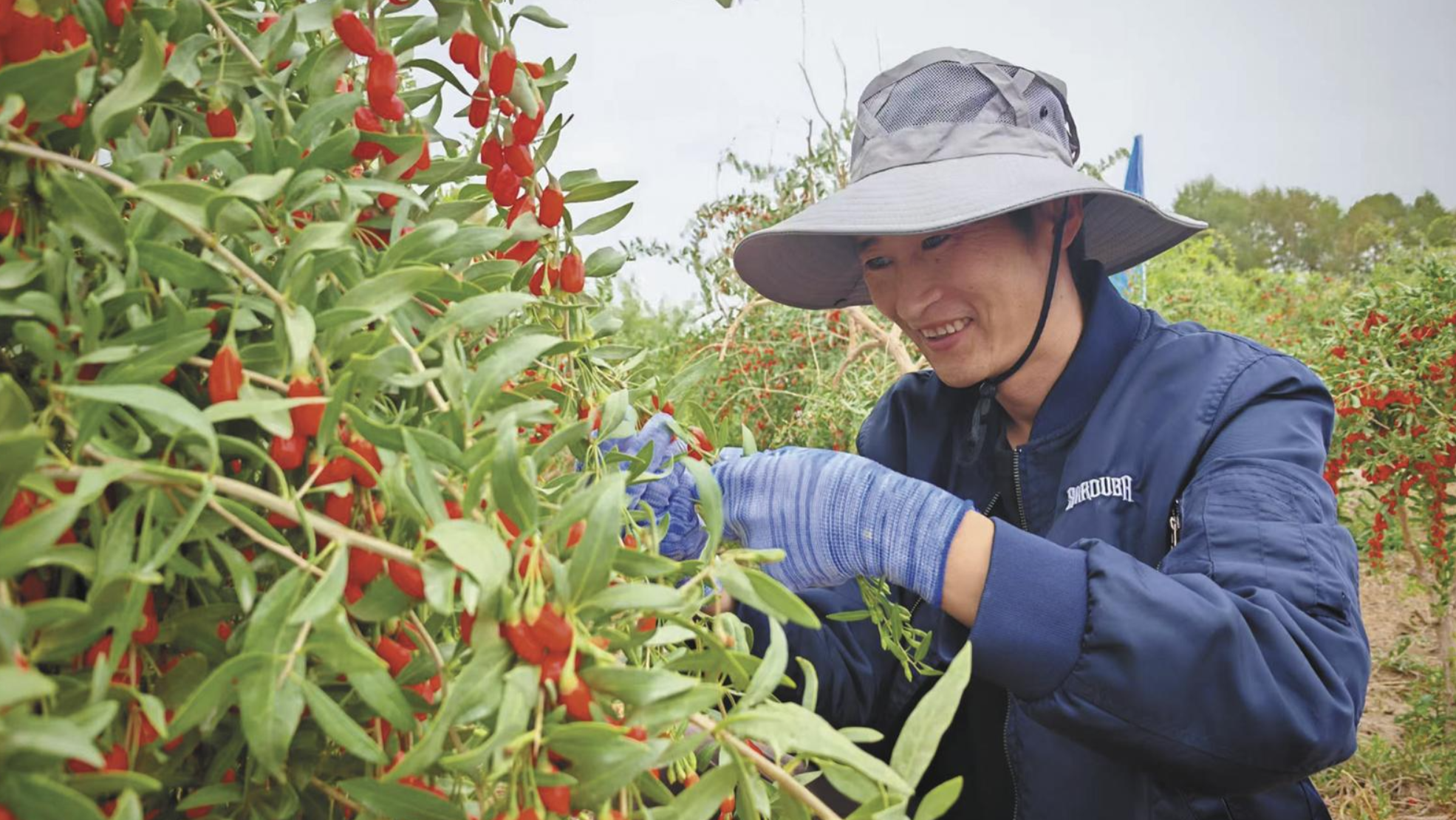 ScreenShot_2026-03-09_052328_666