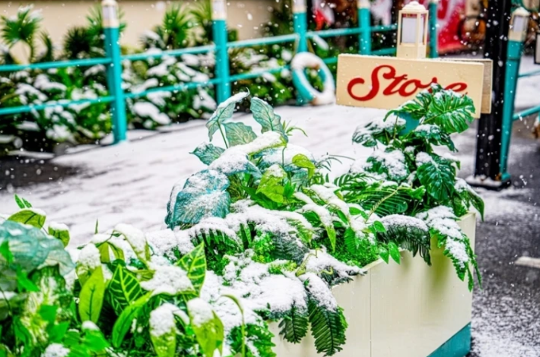 ScreenShot_2026-03-09_060024_083