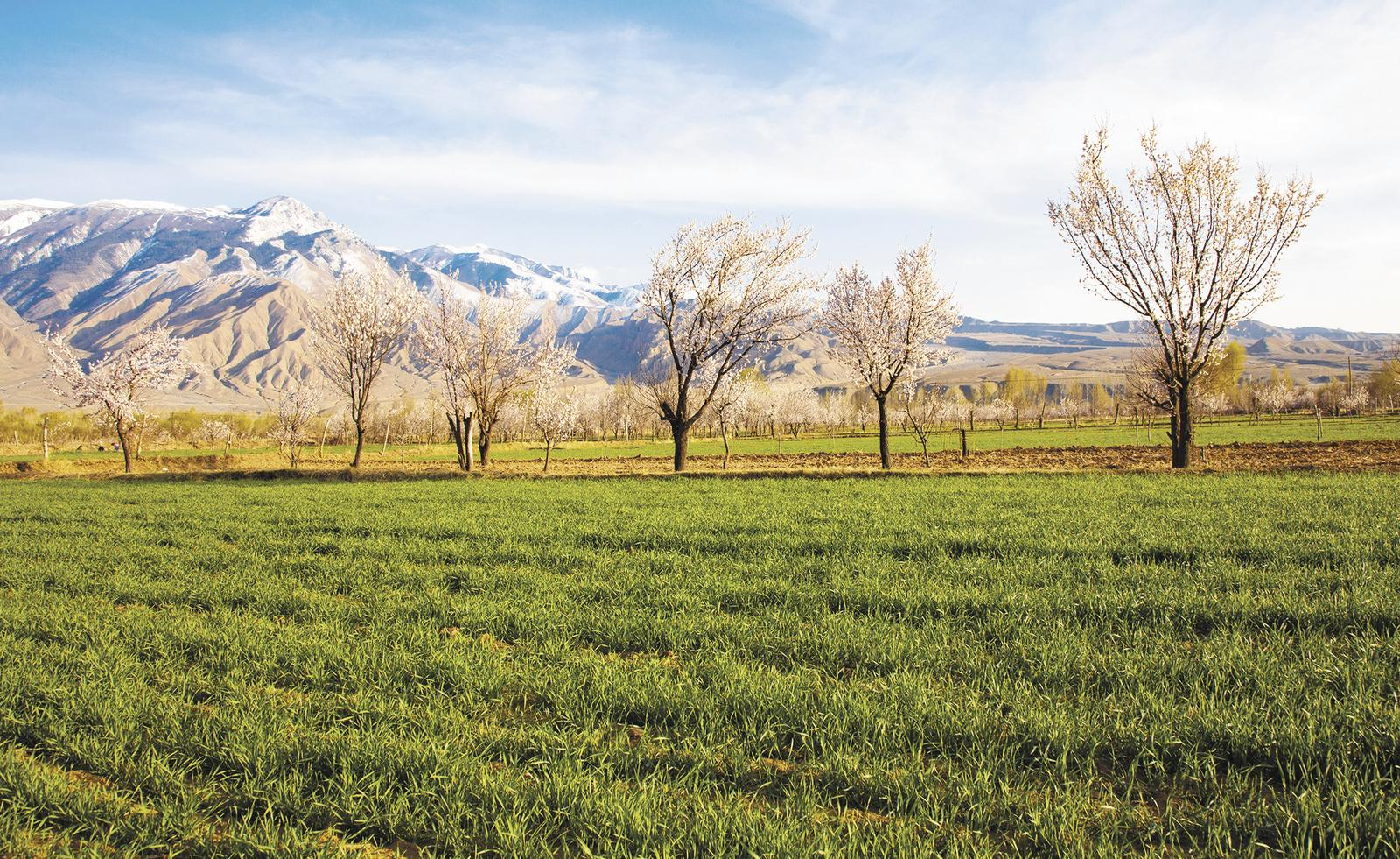 �F�£�����ӿ�ӂ��æ