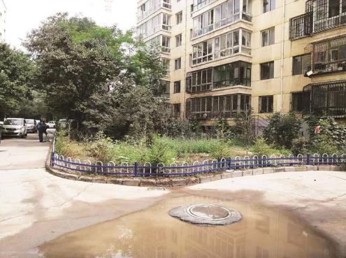 �����Ǳ��ϳ�ꖻ��@С�^(q��)�fò�Q��� 180�������Ҹ�����